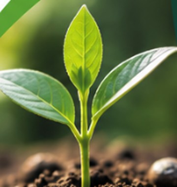 Brote de planta creciendo en la tierra